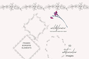 Watercolor Wildflower Clipart, an Illustration by Patishop Art (Thumbnail 9 of 9)
