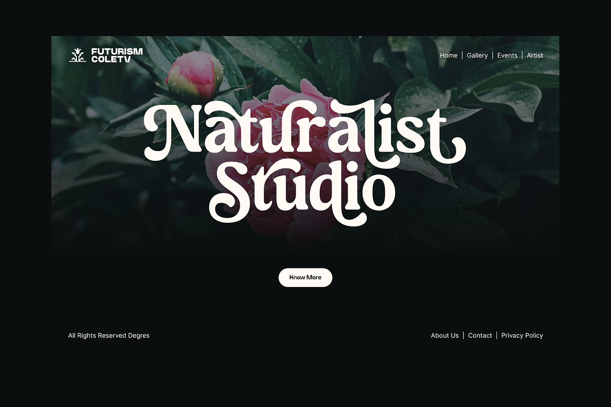 Meaty Nineties - Modern Retro, a Serif Font by Holyline Design (Photo 7 of 15)