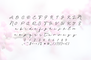 Rasinga, a Handwritten Font by albert_kalingga (Thumbnail 2 of 3)
