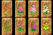 Enchanted flowers tarot deck, a Decorative Illustration by Samiramay (Thumbnail 12 of 12)