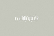 Sunshine - Elegant & Classic Sans, a Sans Serif Font by Misha Sova (Thumbnail 8 of 8)