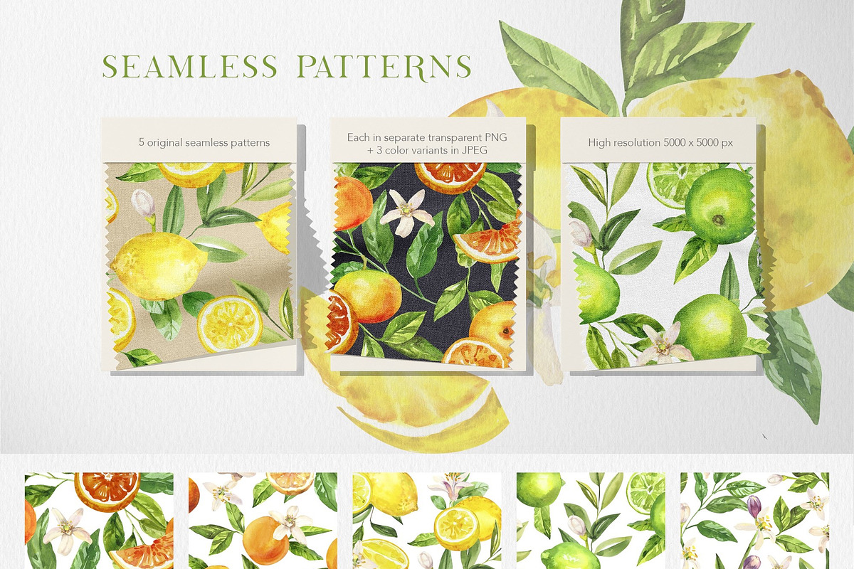 Citrusy Fruits watercolor collection, a Decorative Illustration by Volha Studio (Photo 9 of 10)