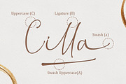 Christmas Leaf - Modern Calligraphy, a Handwritten Font by alifryanzulfikar (Thumbnail 8 of 9)
