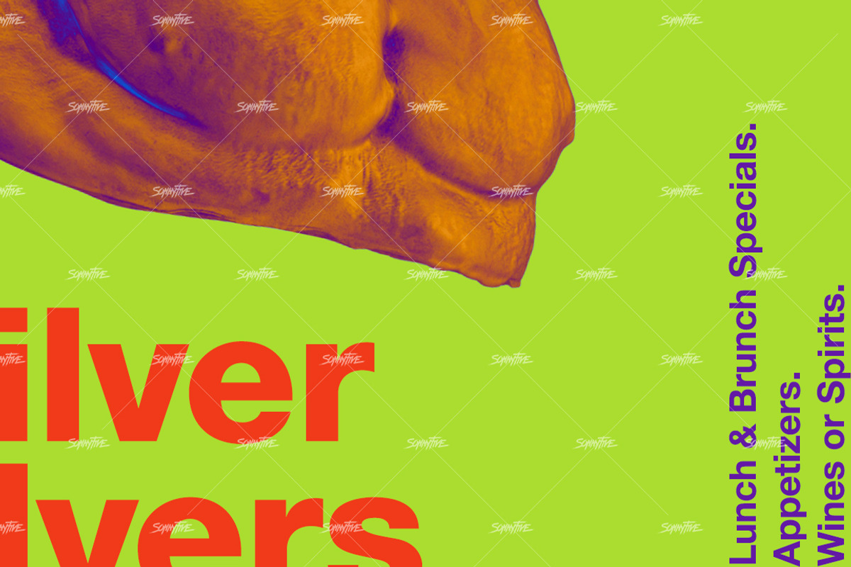 Silver flyer templates, a Flyer Template by Sonnyfive (Photo 8 of 10)