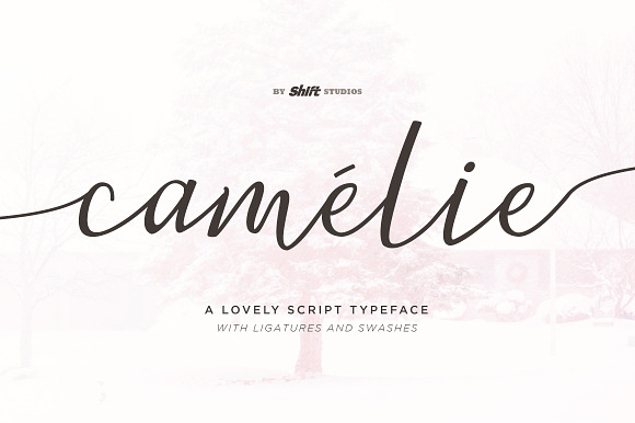 Camelie Typeface preview 8