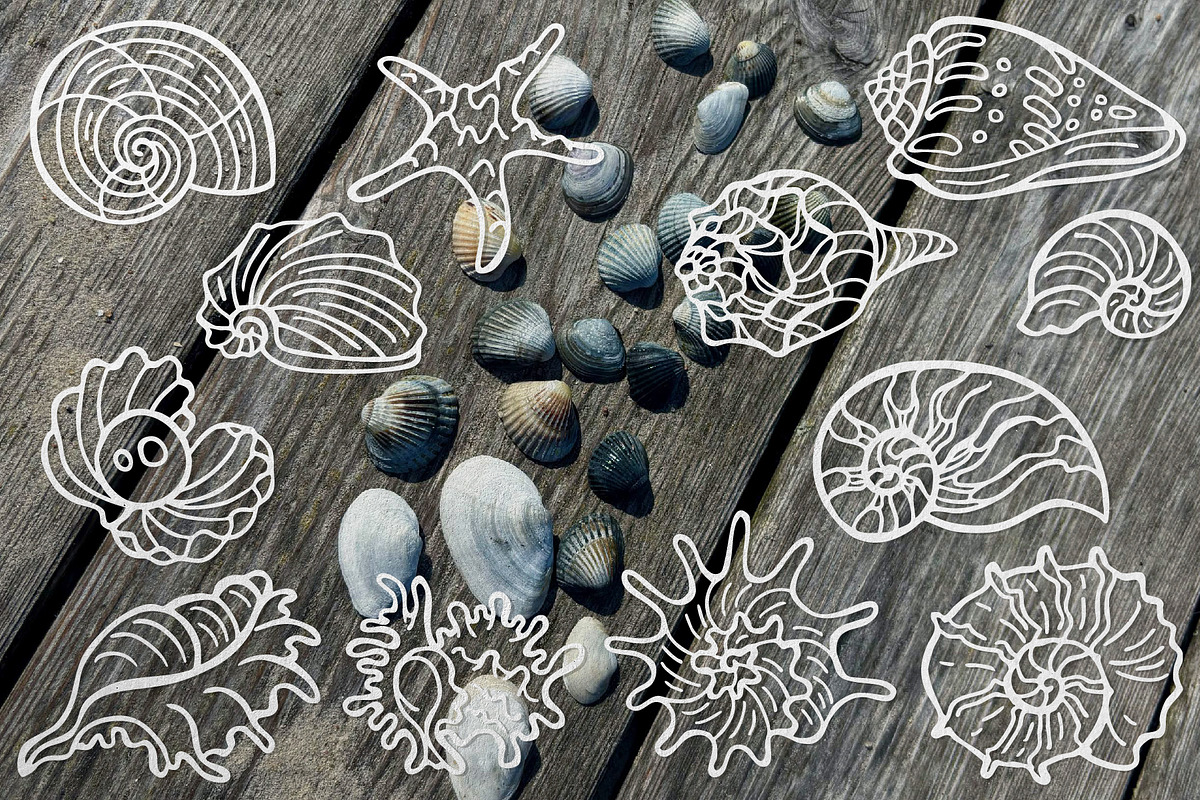 Marine Vector Art Set 120 Sea Life, a Decorative Illustration by Neliakott ♥ (Photo 11 of 12)