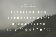 Huckleby | Vintage Sans Serif Family, a Sans Serif Font by Zone 6 (Thumbnail 2 of 8)