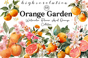 Watercolor Flower And Orange Clipart, an Illustration by DreamCafeArt (Thumbnail 1 of 7)