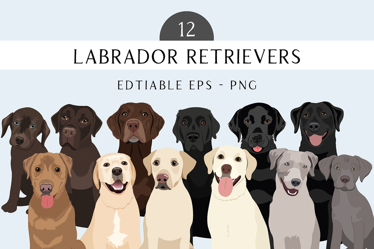 Labrador Retriever Vector Clip Art, an Illustration by Putnam Road Art (Photo 1 of 3)