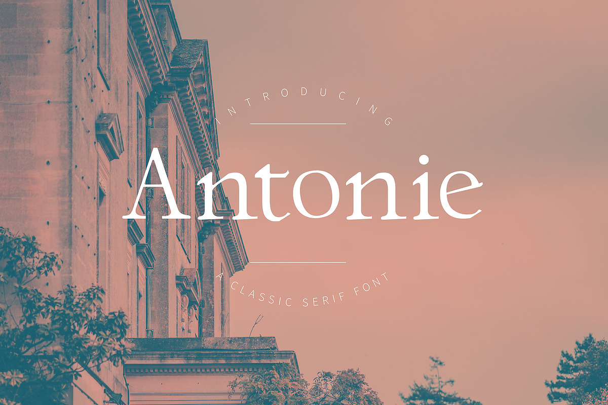 Antonie – Classic Serif Font, a Serif Font by Typefactoryco (Photo 1 of 6)