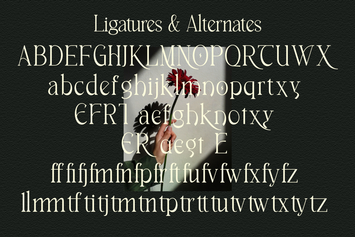 Breasto - Display Serif, a Sans Serif Font by tebaltipislab (Photo 15 of 18)