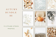 Autumn Bundle 3, a Beauty & Fashion Photo by Floral Deco (Thumbnail 1 of 9)
