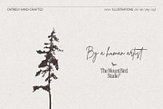 Pine and Fir Tree Silhouettes, an Object Illustration by TheMountBirdStudio (Thumbnail 3 of 6)