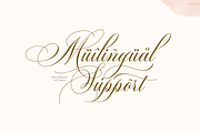 Robinsan - Premium Calligraphy, a Script Font by Silverdav (Thumbnail 11 of 16)
