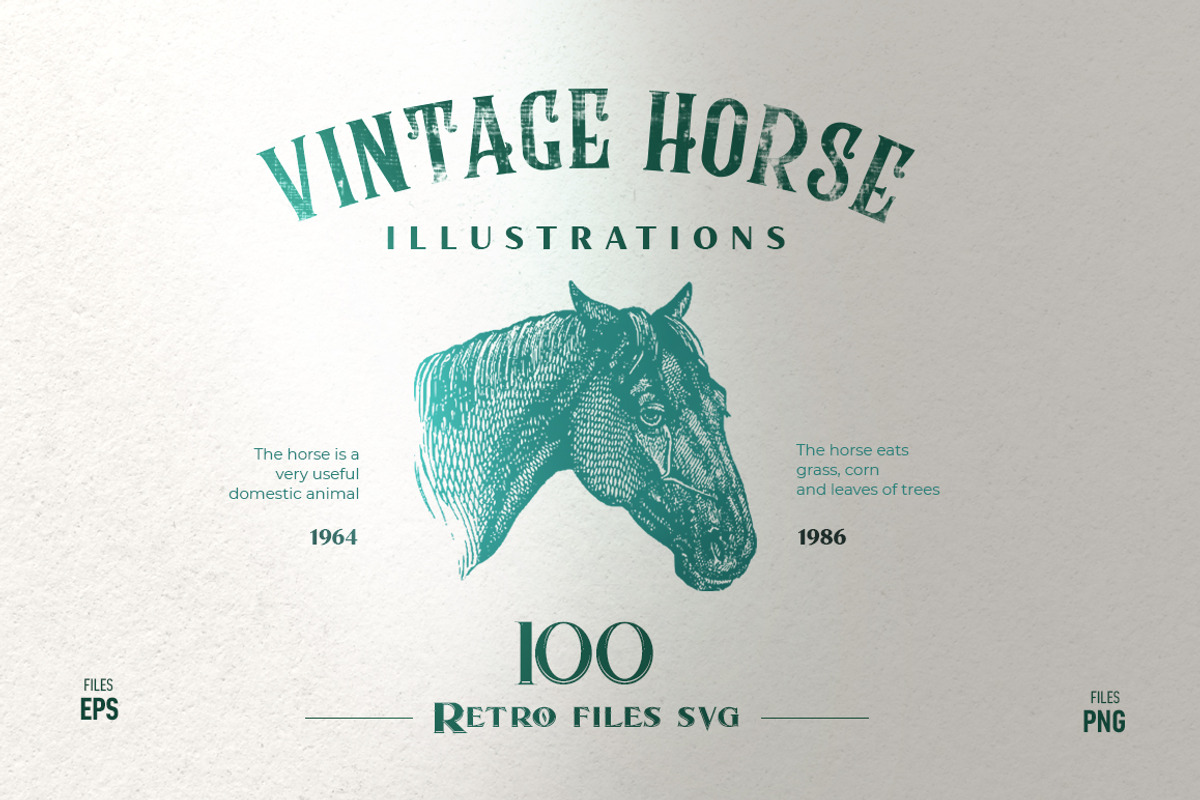 Vintage Bundle 2500+ Free Update, an Animal Illustration by Retro Machine (Photo 41 of 170)