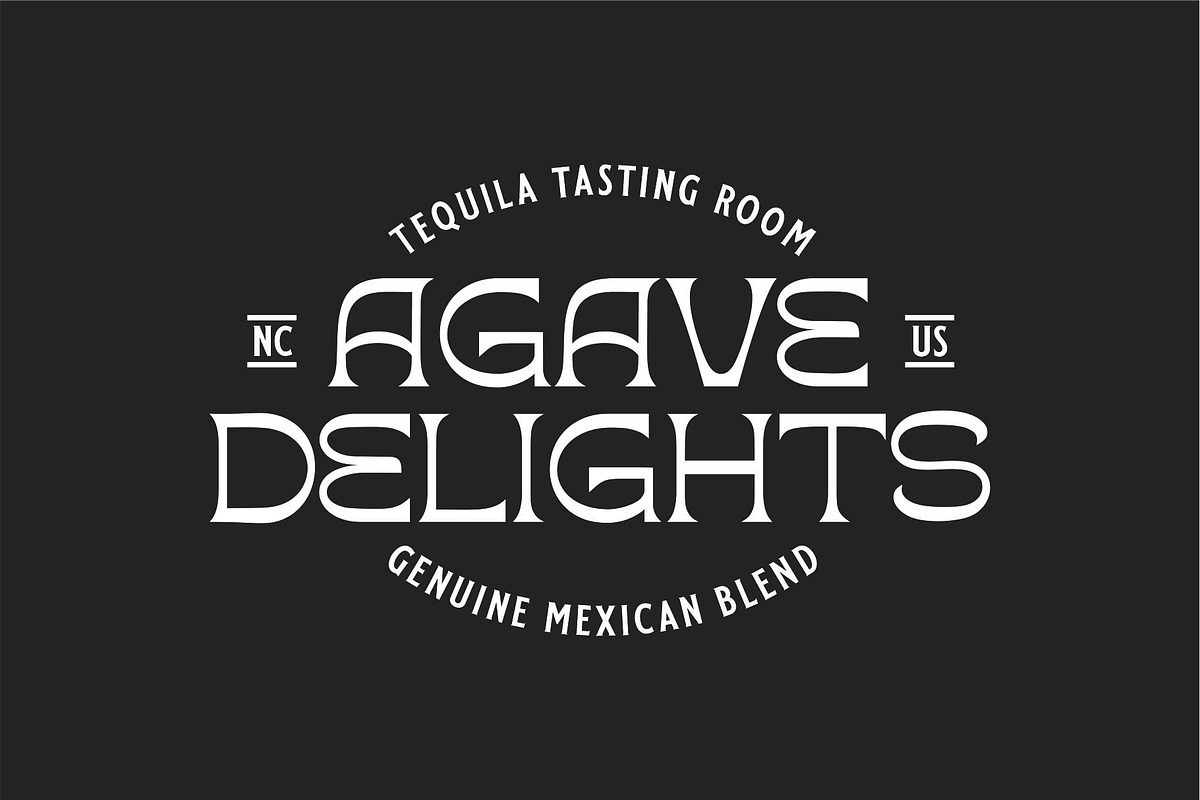 AGAVE DELIGHTS - Display Typeface, a Serif Font by Havinkpen (Photo 2 of 5)