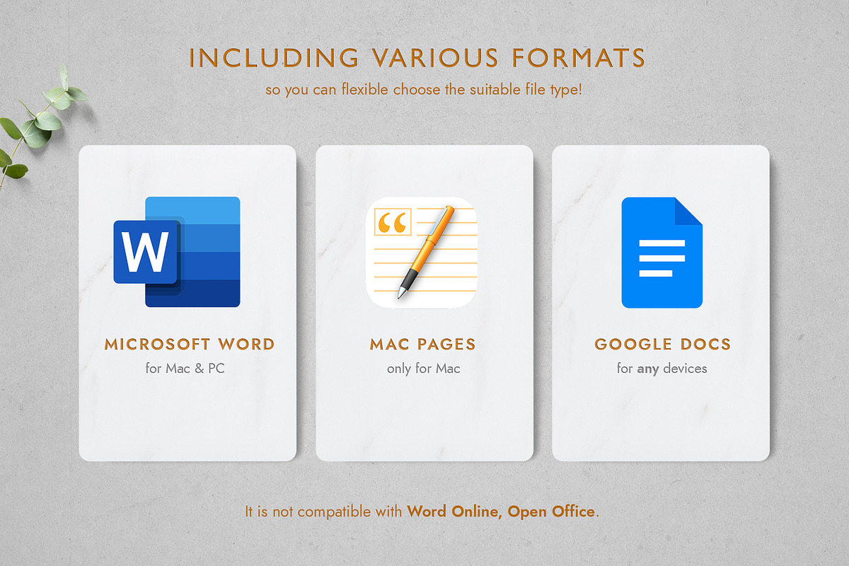 Resume/CV Template - CAROLINA, a Resume Template by TheStandOutResume (Photo 6 of 10)