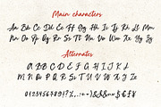 Bold script font brush Breakfast in, a Script Font by TD fonts (Thumbnail 8 of 12)