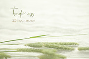 Tenderness. Wedding Mockup Photo Set, a Mockup by NataliArkushArt (Thumbnail 12 of 17)