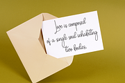 Berlina Signature | Script Font, a Handwritten Font by Scratchones (Thumbnail 4 of 8)