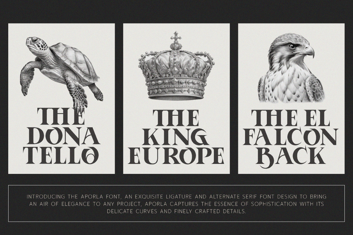 Aporla - Elegant Slab Serif, a Slab Serif Font by Baleee (Photo 5 of 18)