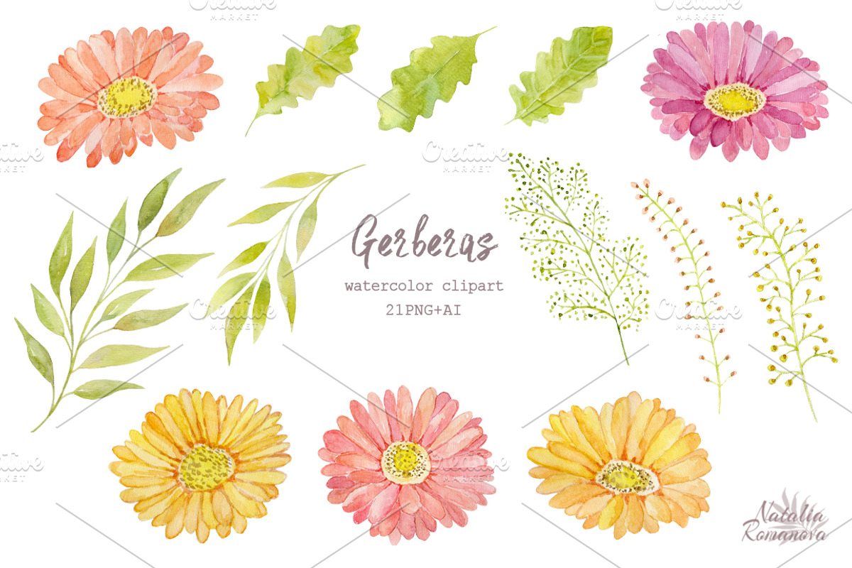Watercolor set of gerbera flowers, a Decorative Illustration by BrushArtDesigns (Photo 3 of 9)