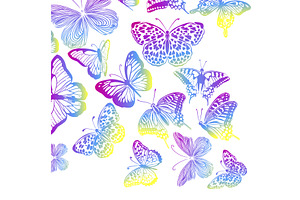 Purple And Yellow Butterfly