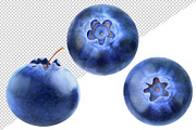 Blueberries collection, an Object Graphic by Fruits+Veggies (Thumbnail 2 of 4)