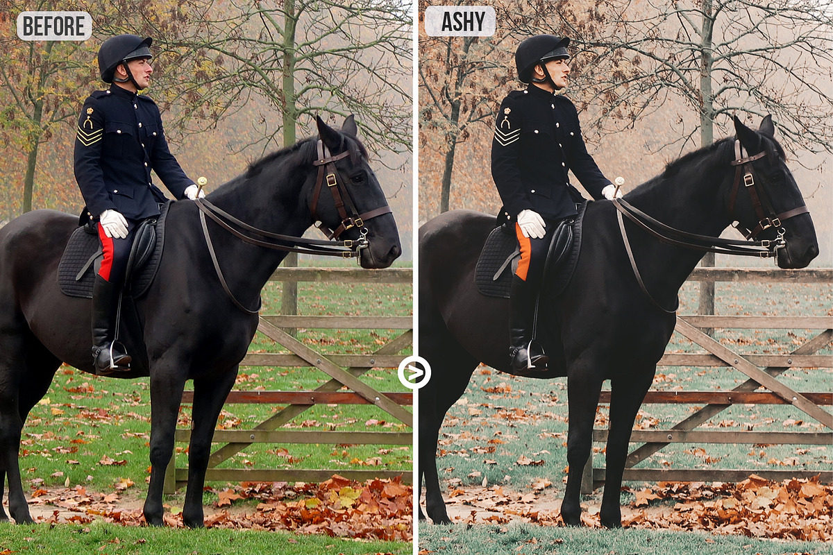 Creative Collection#2 LUTs /Filters, a Preset Add-On by CineMart (Photo 15 of 24)
