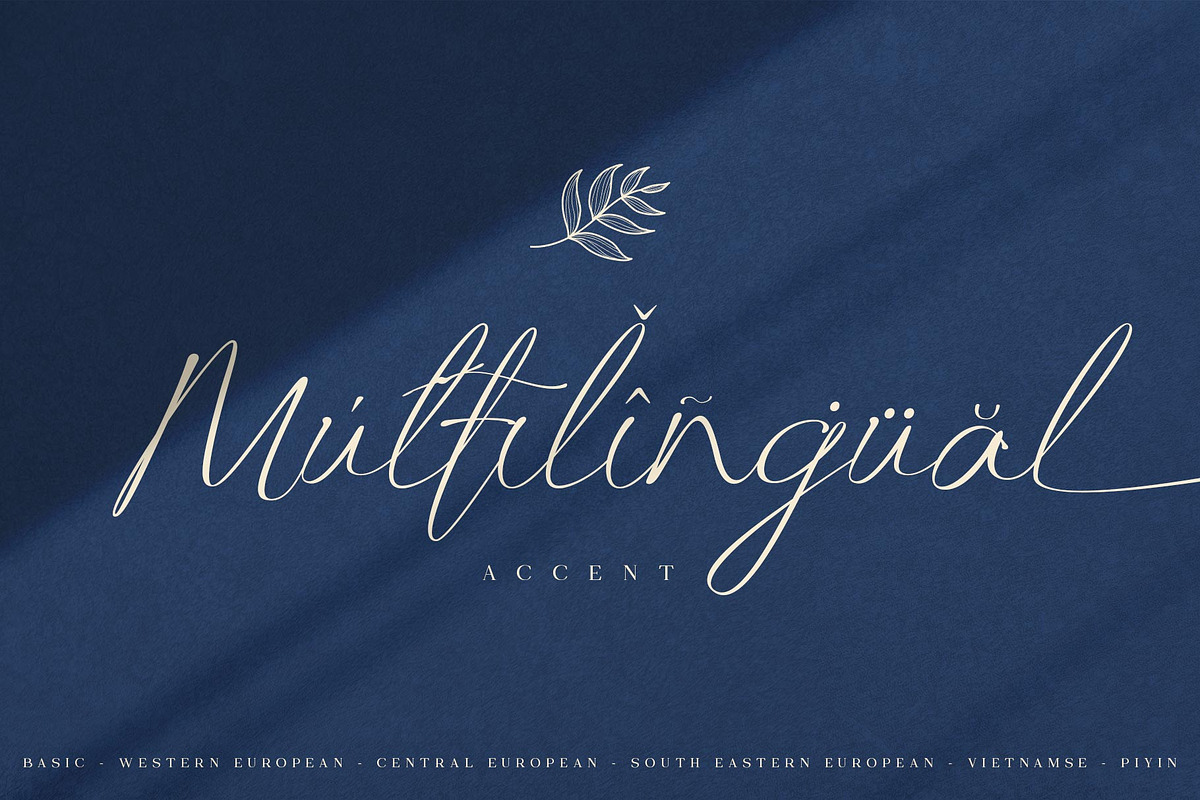 Manfollo Modern Script, a Script Font by alit design (Photo 11 of 15)