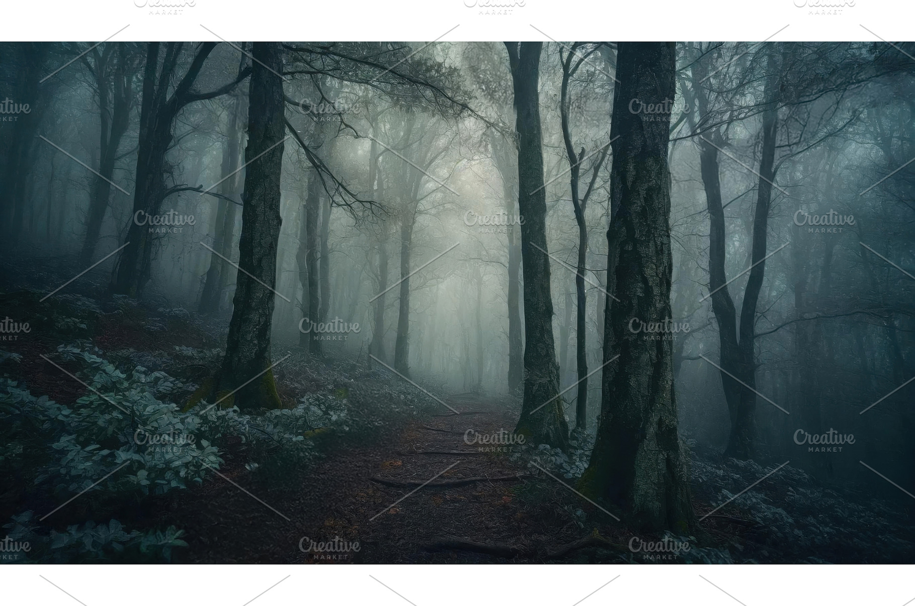 A dark forest trail with dense trees, a Nature Photo by Igor Tichonow