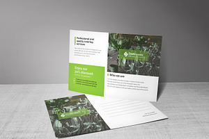 Catering Business Postcard