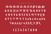Rosland - Elegant Display Serif, a Serif Font by timelesstype.co (Thumbnail 18 of 20)