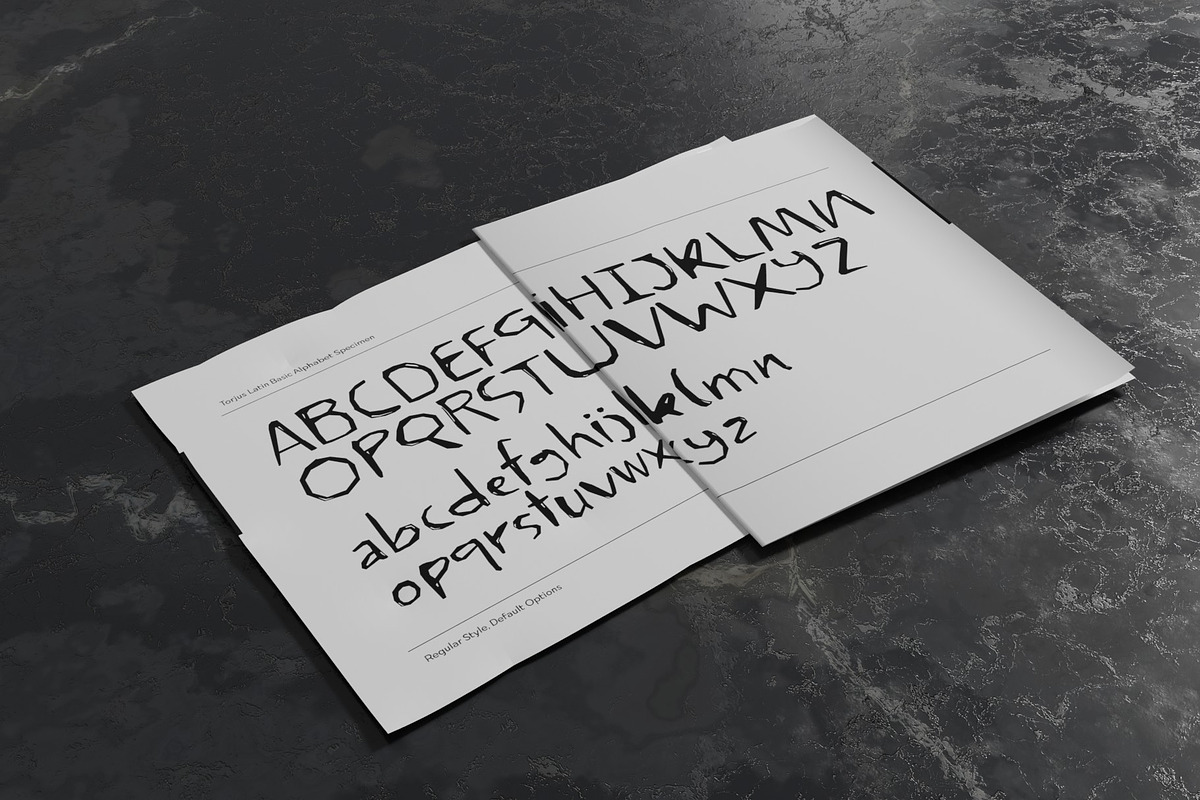 Torjus Font Family, a Sans Serif Font by Ryul Davidson (Photo 7 of 17)