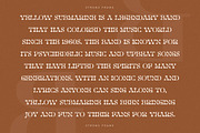 Strong Frame New Slab Serif Font, a Slab Serif Font by Storytype Studio (Thumbnail 10 of 15)