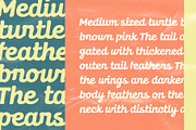 Dunley; Soft Script, a Script Font by Eko Bimantara (Thumbnail 7 of 9)