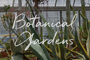 Quickbrush- the bold brush font, a Handwritten Font by Trial by Cupcakes (Thumbnail 3 of 6)