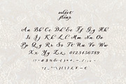 Velvet Fleur - Elegant Script Font, a Script Font by Mneme (Thumbnail 9 of 11)