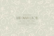 Hand Drawn Lemons, a Decorative Illustration by Neptune Paper Co. (Thumbnail 1 of 2)