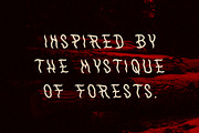 WithAnimals Font, a Handwritten Font by Towards The North (Thumbnail 4 of 8)
