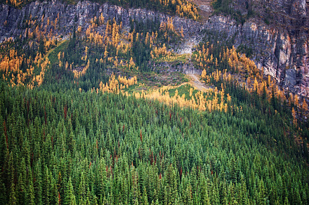 Lake Louise Canoes in the Fall