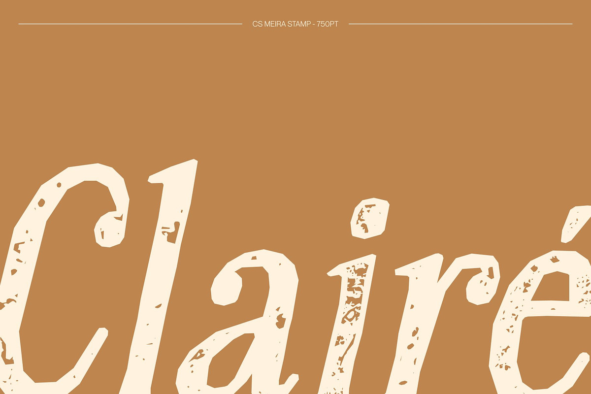 CS Meira Stamp, a Serif Font by Craft Supply Co. (Photo 2 of 8)