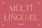 Amstir Vintage – Serif Stamp Font, a Serif Font by Craft Supply Co. (Thumbnail 8 of 8)