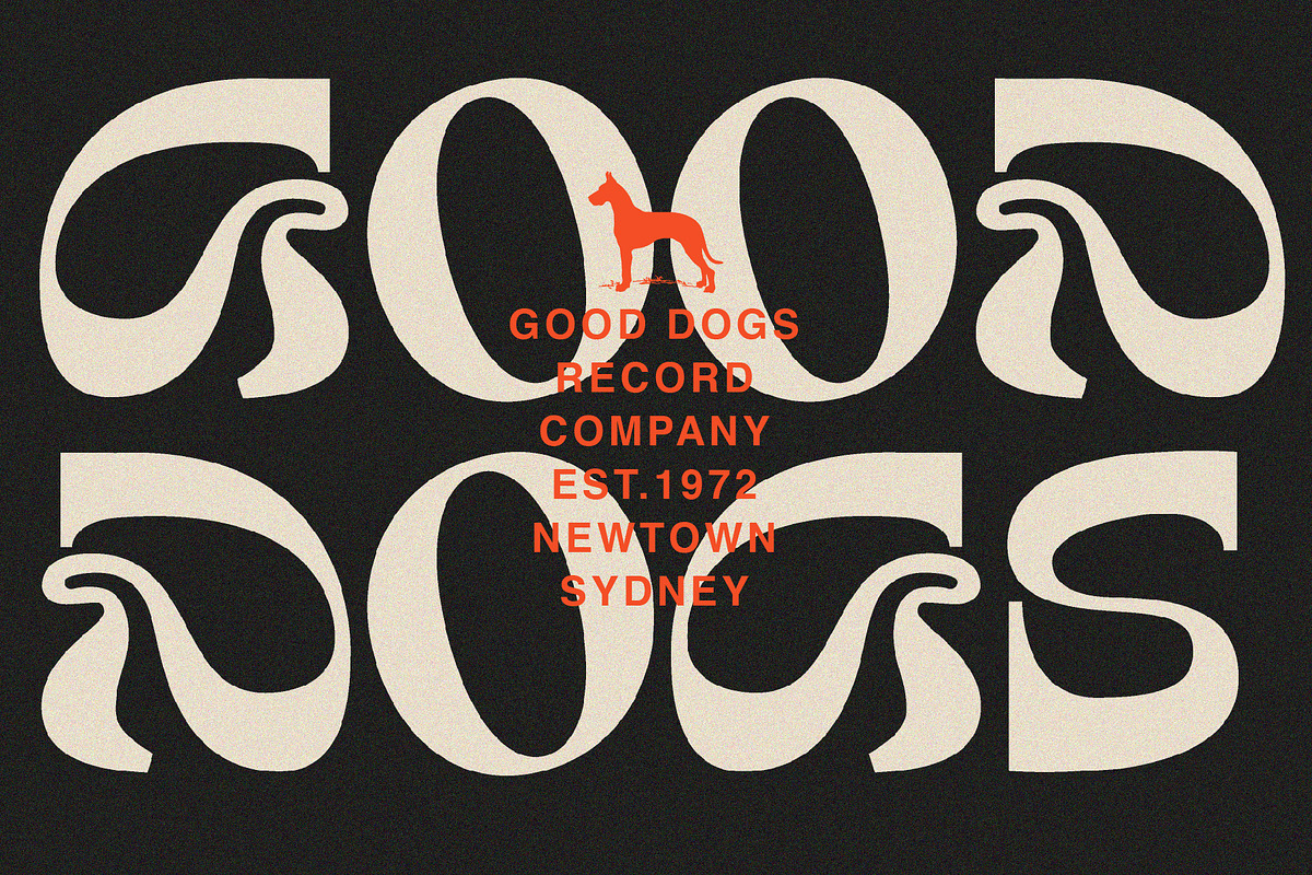 Humankind -Experimental DisplayFont, a Serif Font by Tropical Type (Photo 8 of 11)