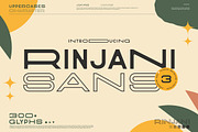 Rinjani Sans - Wide Stretch Typeface, a Sans Serif Font by CCS Type (Thumbnail 1 of 24)