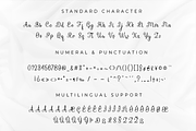 Bashington - Sweet Script Font, a Script Font by Motokiwo (Thumbnail 11 of 12)