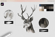 Watercolor Procreate Brushes, a Brush Add-On by Les Frolova (Thumbnail 6 of 9)