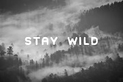 Woodcrafter Sans - 4 Font Family, a Sans Serif Font by Greg Nicholls (Thumbnail 2 of 9)