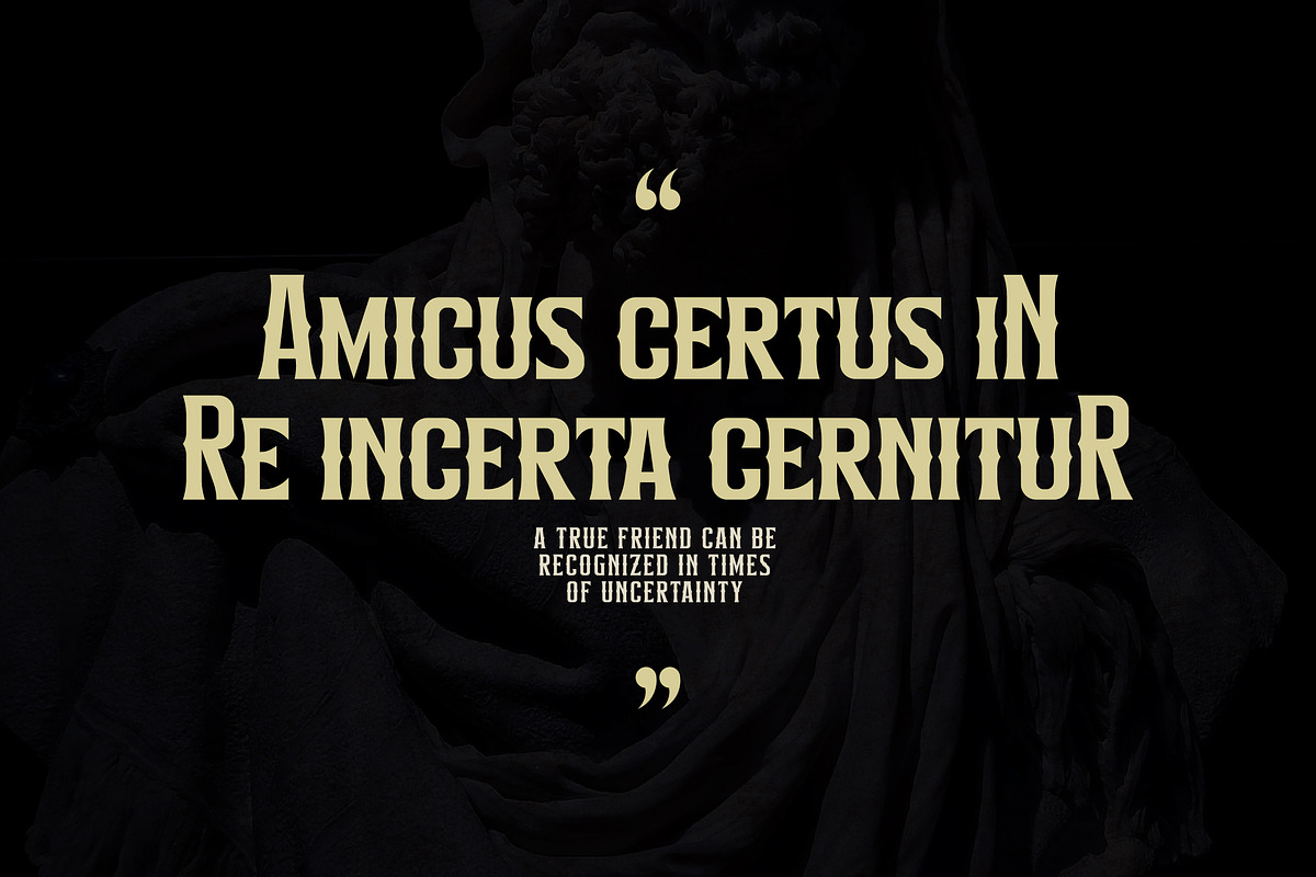 Alinore Display Typeface Font LS, a Sans Serif Font by Storytype Studio (Photo 4 of 15)