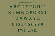 Oldtimer - A Classy, Hand-drawn Font, a Serif Font by Eric Pond Designs (Thumbnail 3 of 3)